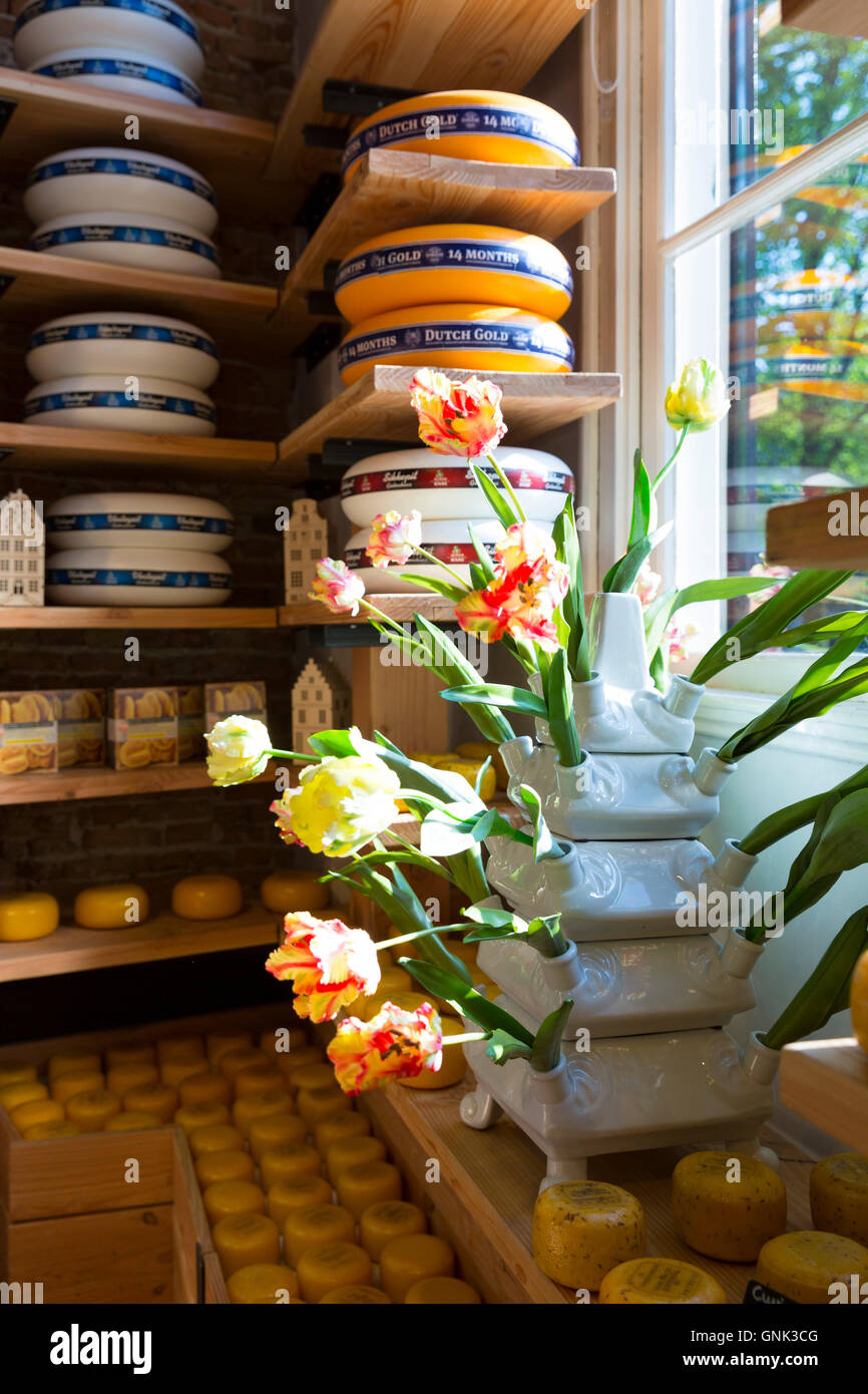 Traditional Gouda cheese wheels on sale in Dutch cheese shop in the Jordaan district of  Amsterdam, Holland Stock Photo