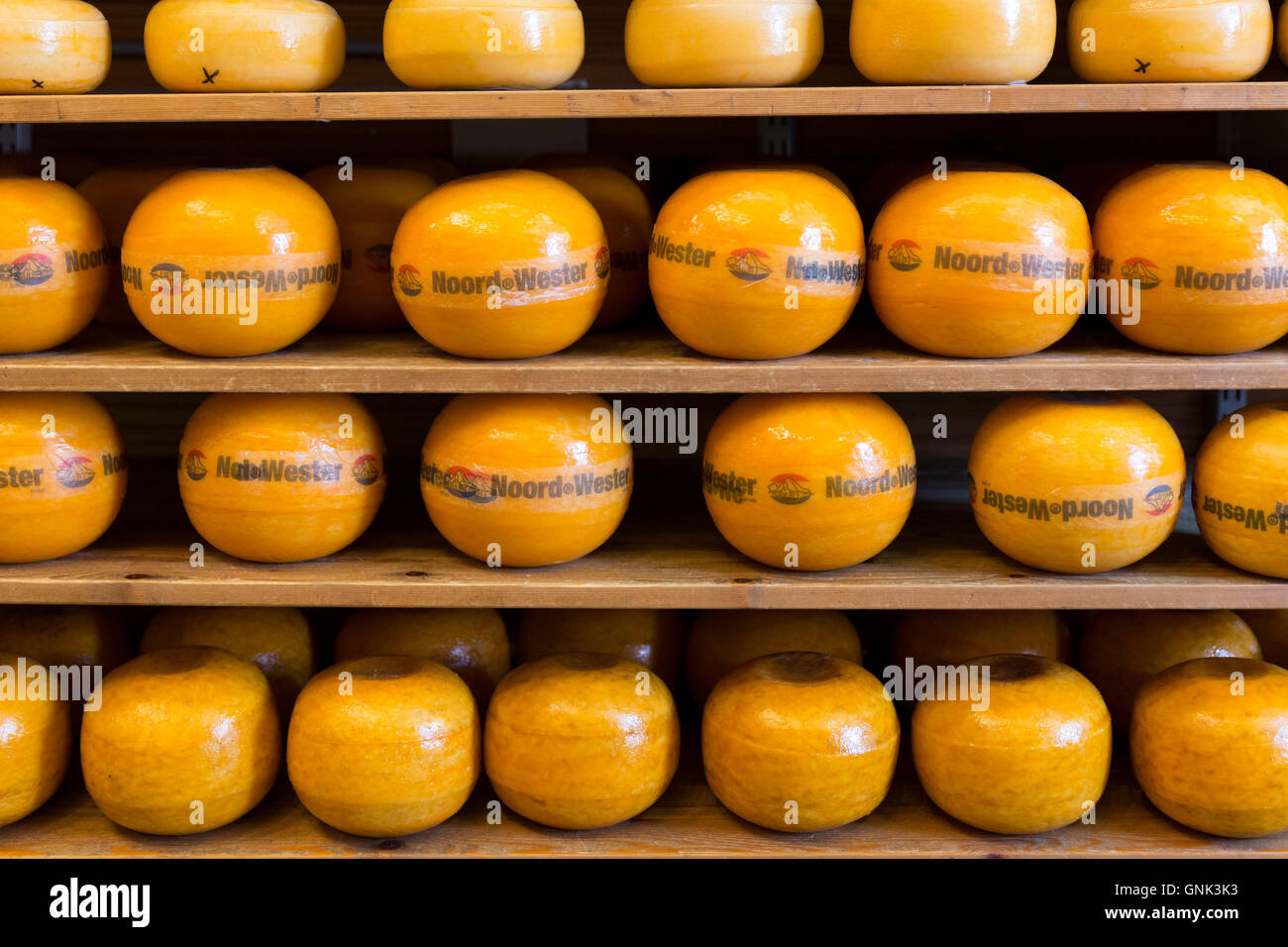 Edam cheese Noord Wester display on shelves in food store in the town of Edam, The Netherlands Stock Photo