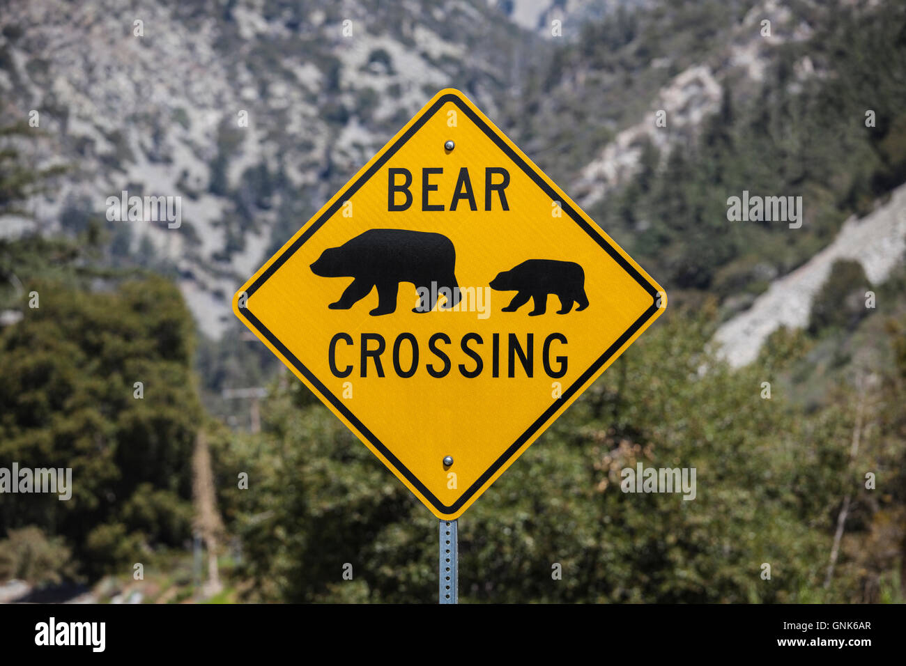 Bear Crossing highway sign with National Forest mountain background. Stock Photo