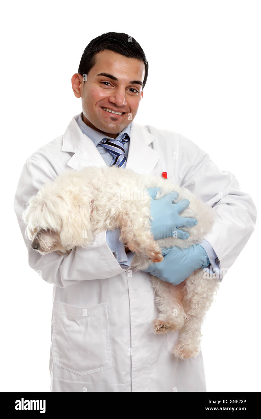 Veterinarian carrying a pet dog Stock Photo Alamy
