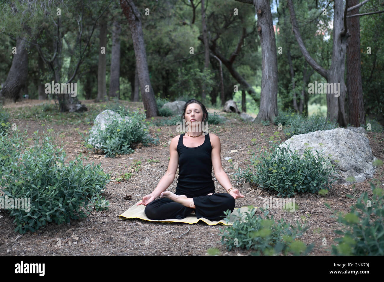 Yoga In Forest Stock Photo Alamy