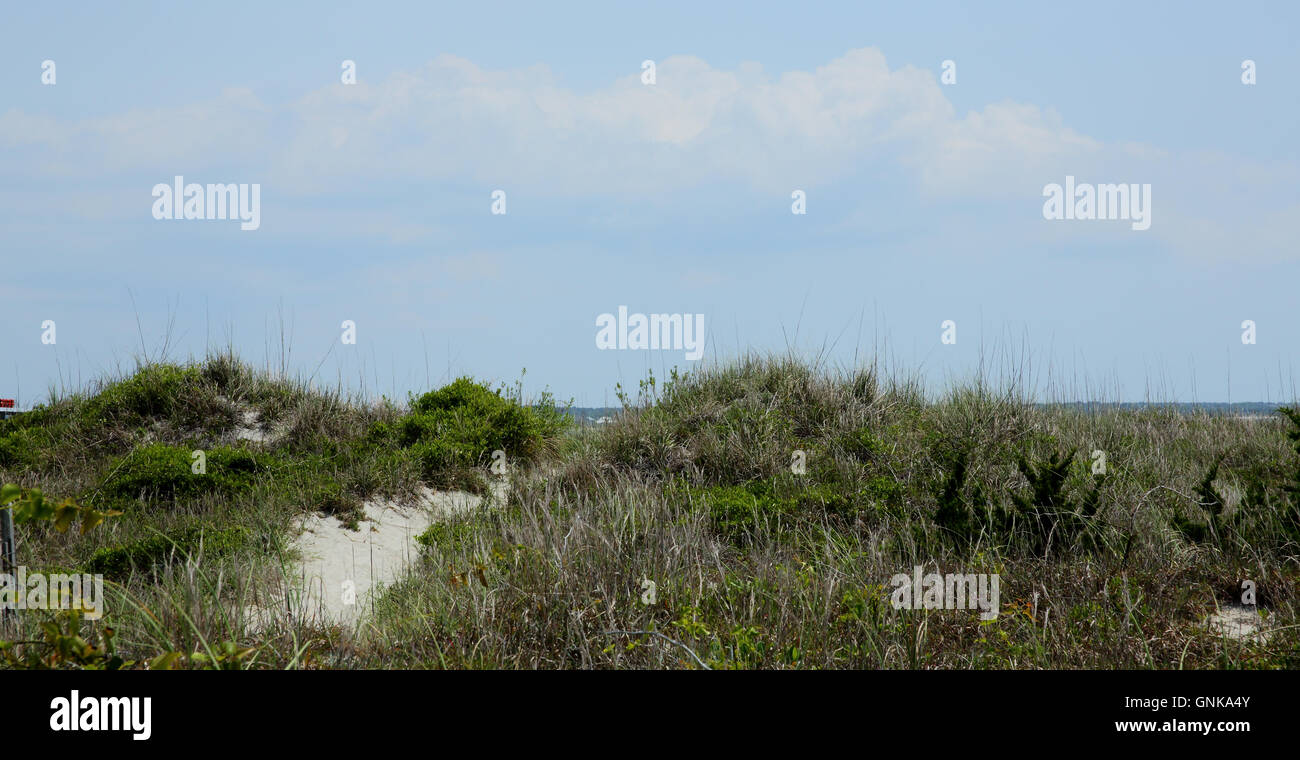 Pathway over sand dunes to the ocean Stock Photo