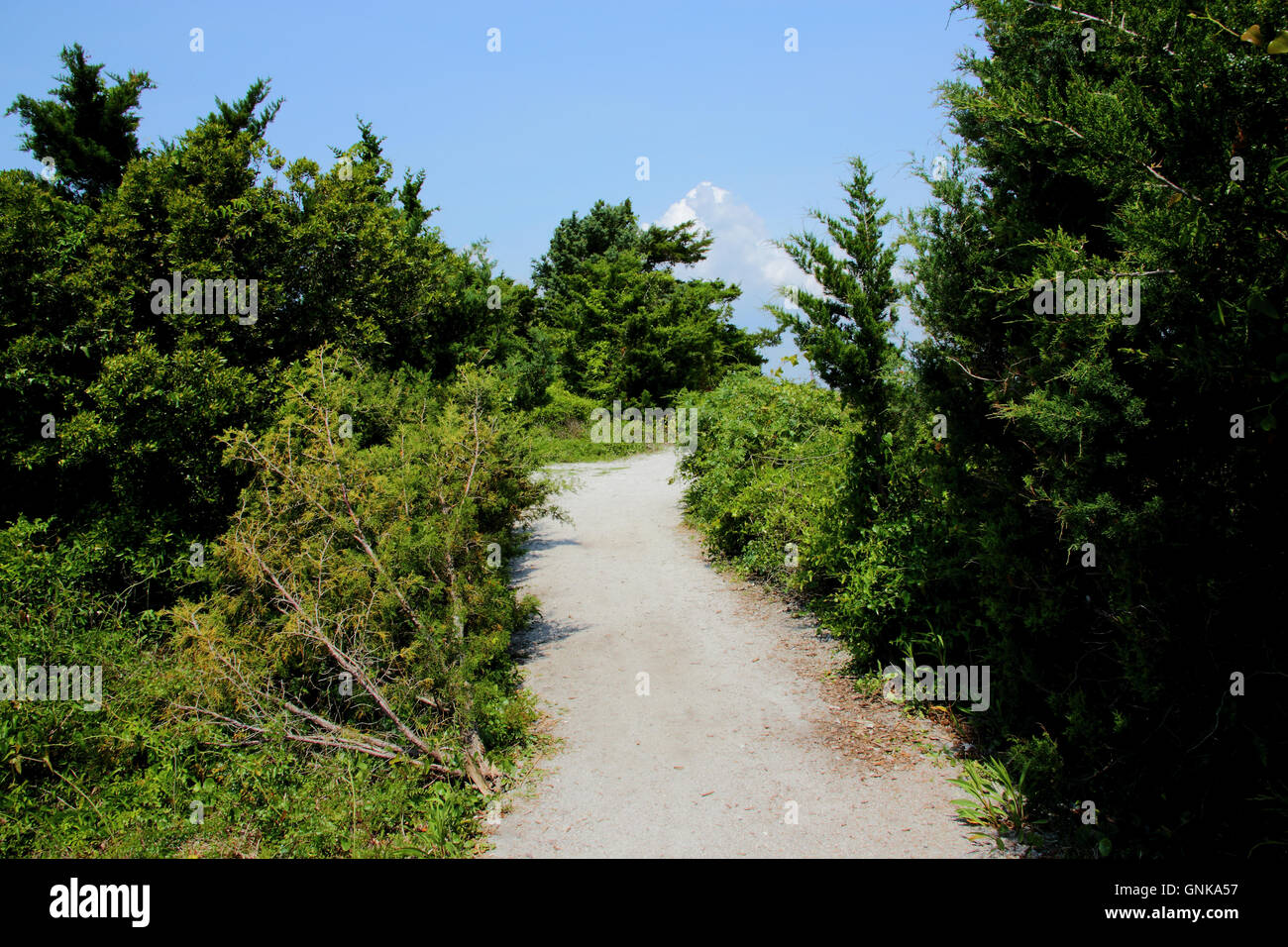 Pathway over sand dunes Stock Photo