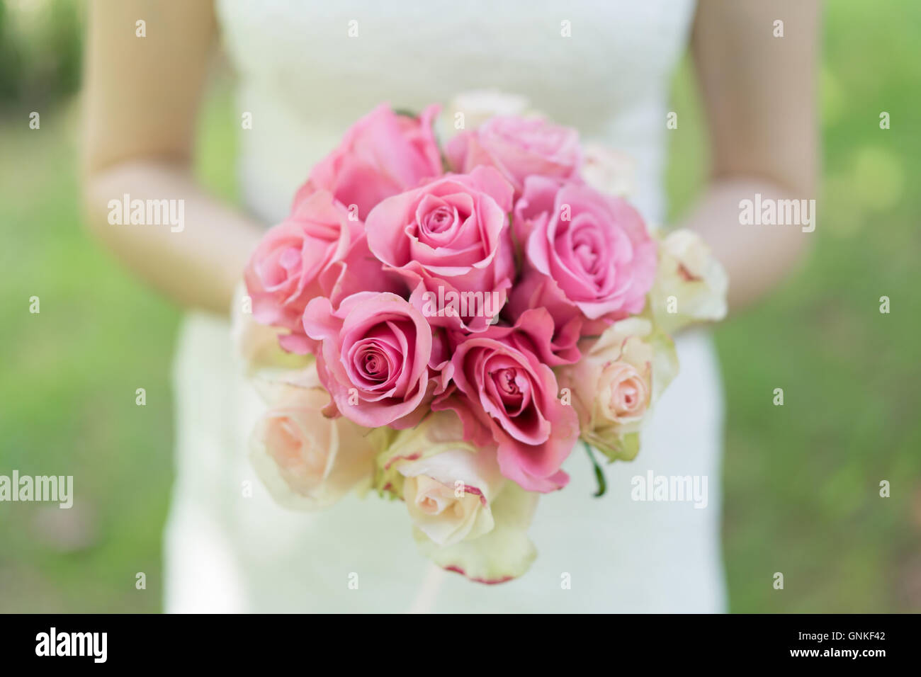 Bride shows the bouquet of pink and white roses Stock Photo - Alamy