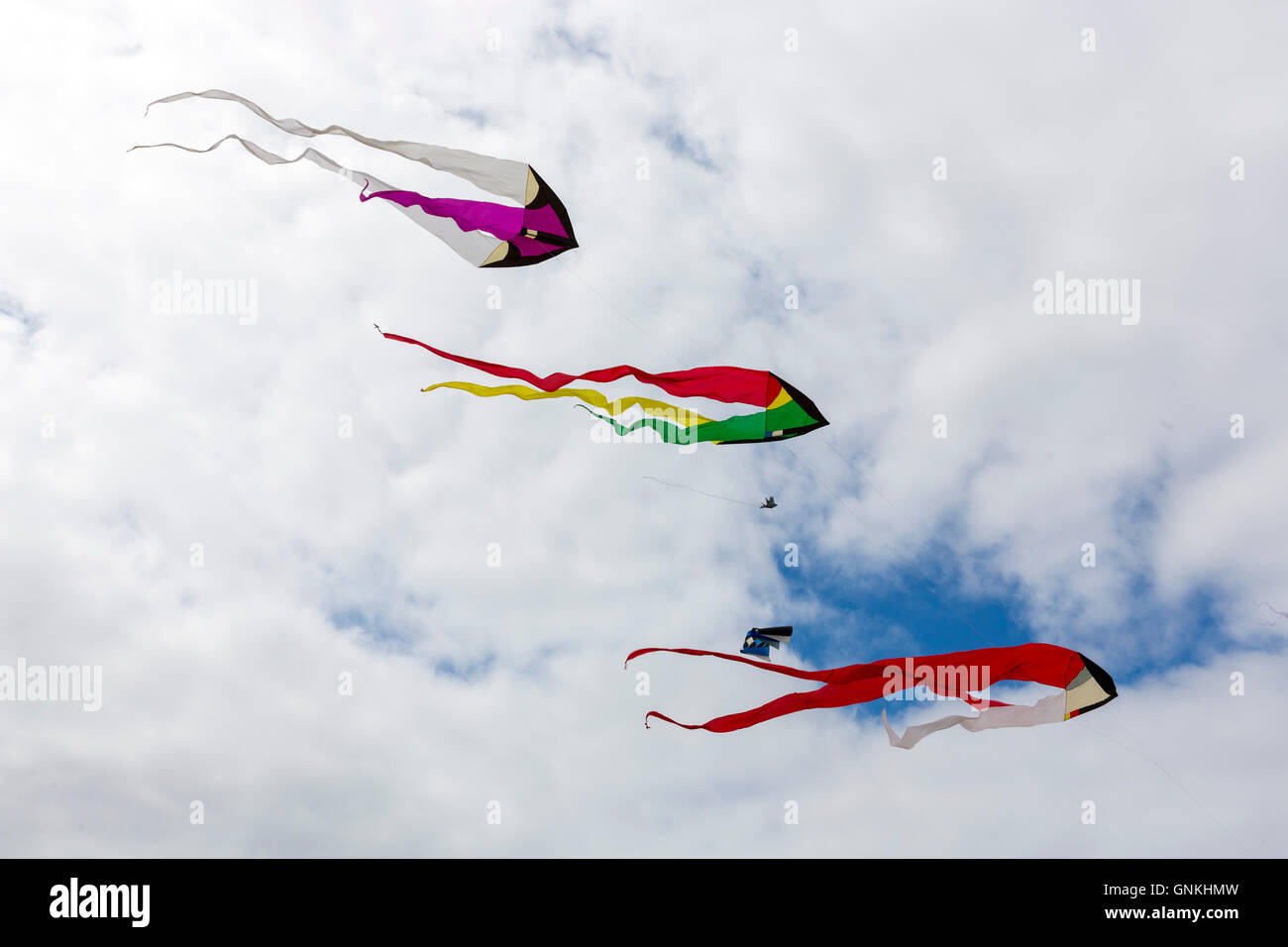 Kite festival of bright color kites in the sky above Fano Island
