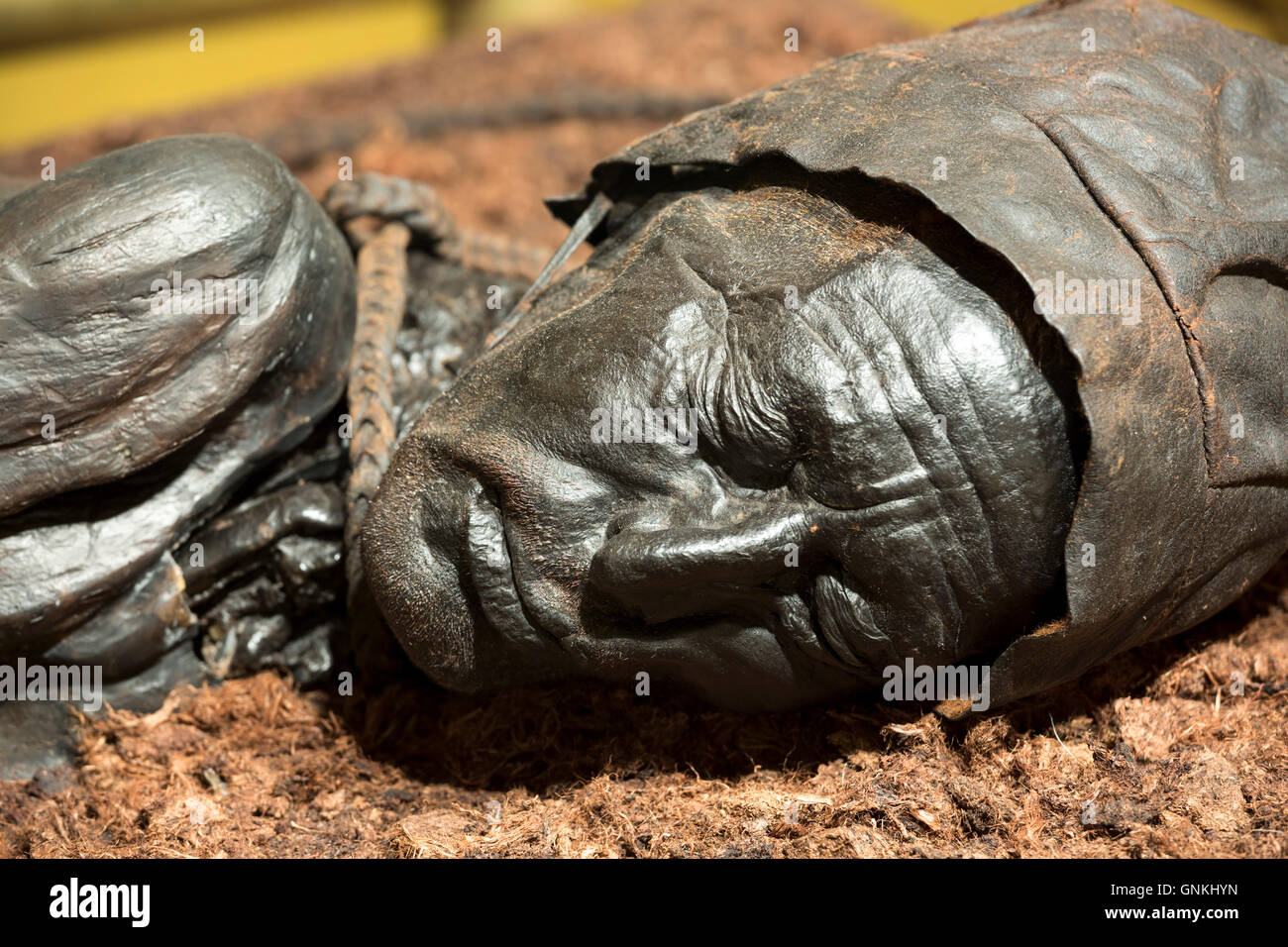 Ancient bronze statue of Tollund Man, bog body from the Iron Age, at the Museum Silkeborg in Denmark Stock Photo