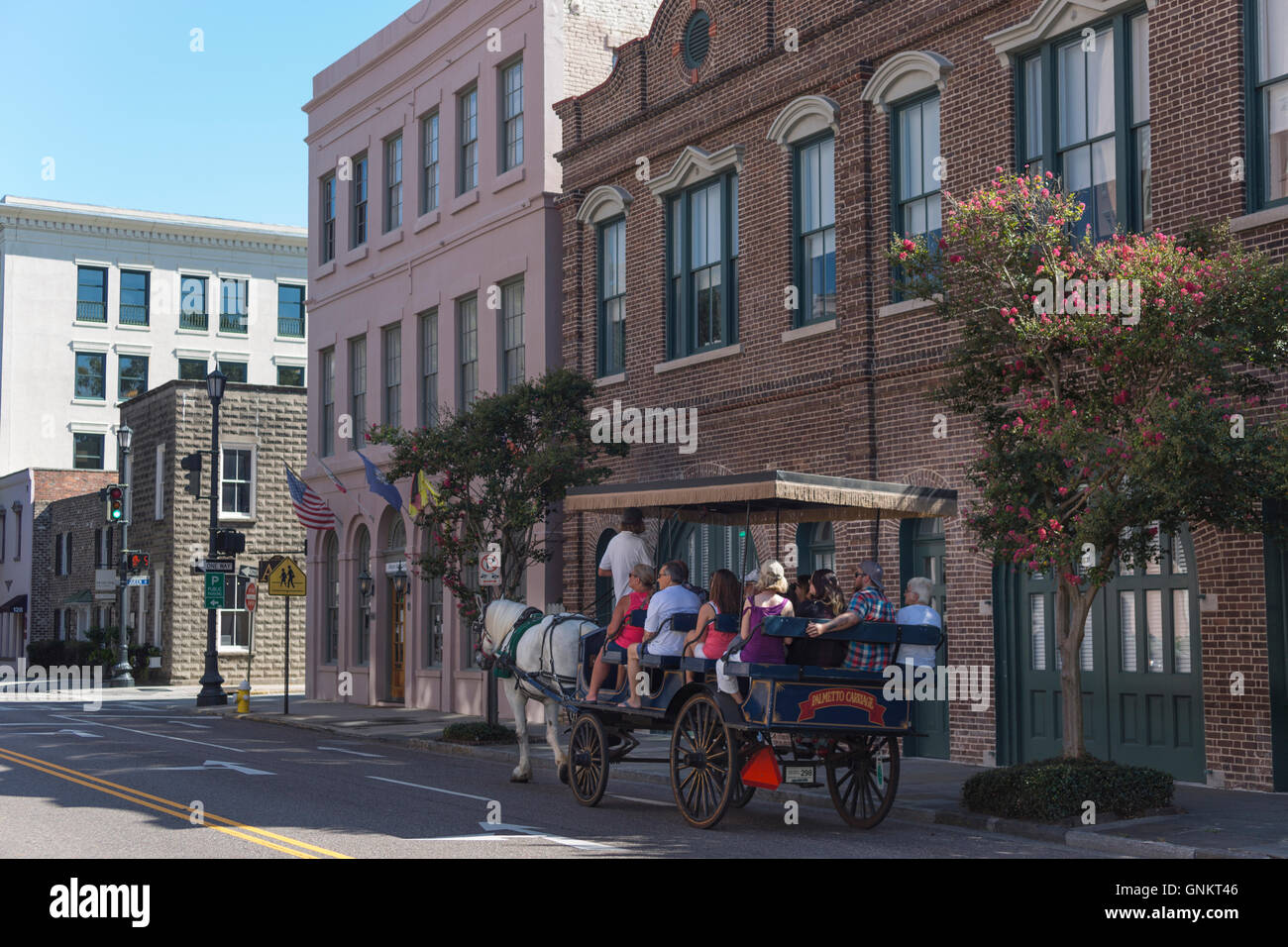 HORSE DRAWN CARRIAGE RIDE MEETING STREET DOWNTOWN CHARLESTON SOUTH