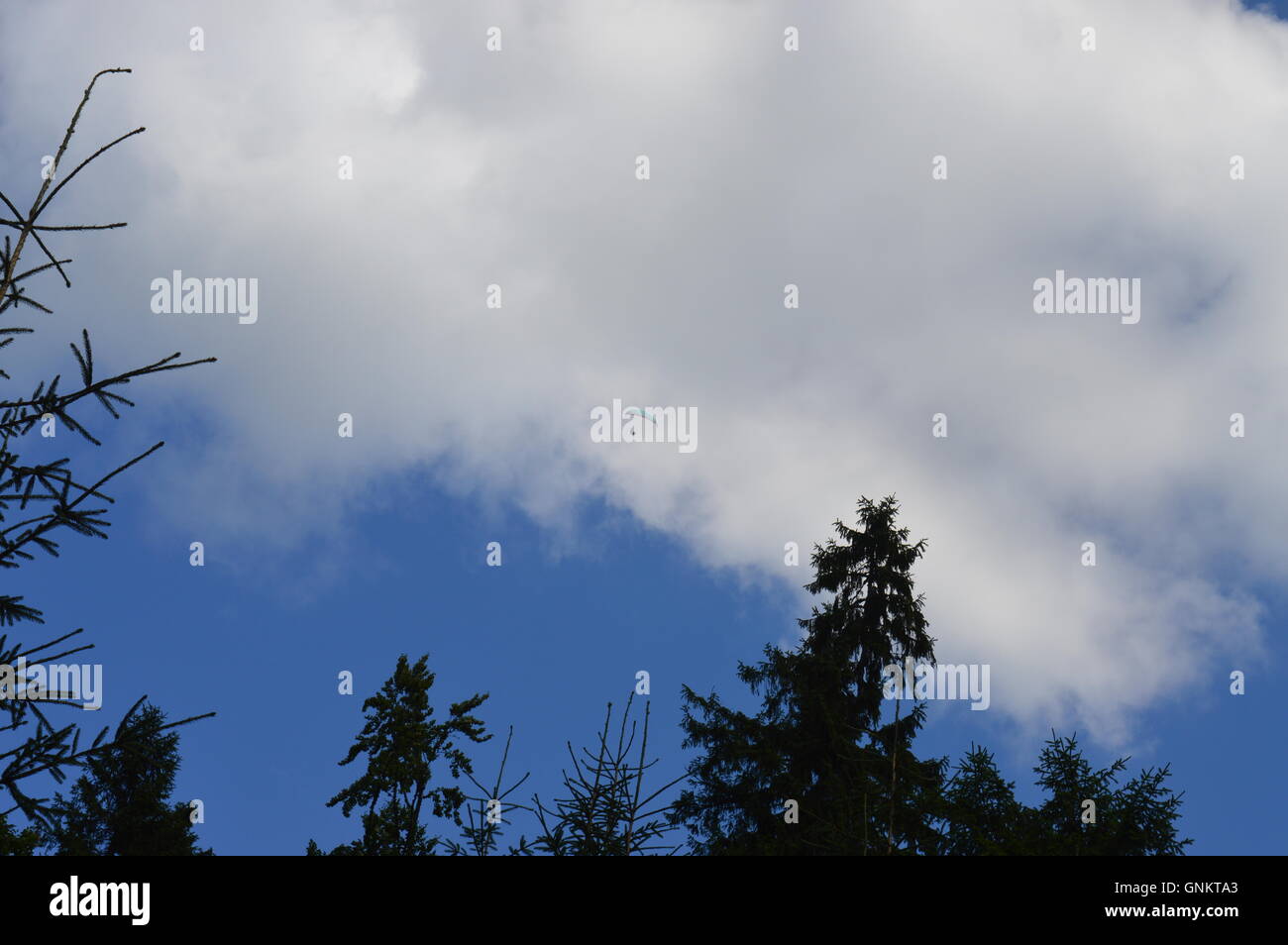 A man paragliding  in the distance Stock Photo