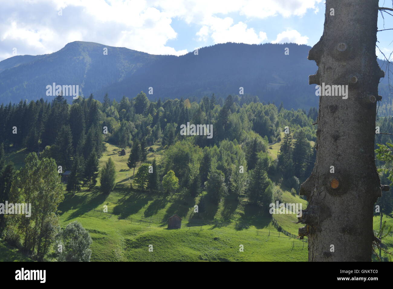 Landscape with forested mountains Stock Photo
