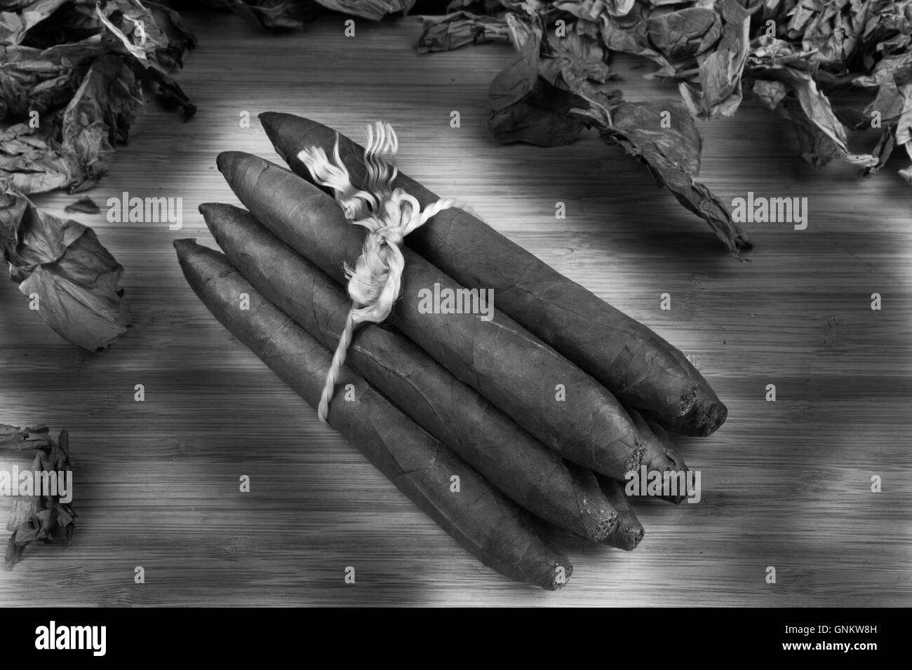 Cigar tobacco leaf wood board, Nicaraguan Tobacco long filer Stock Photo