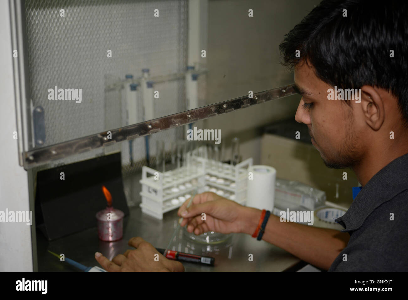 Lab research procedure Stock Photo - Alamy