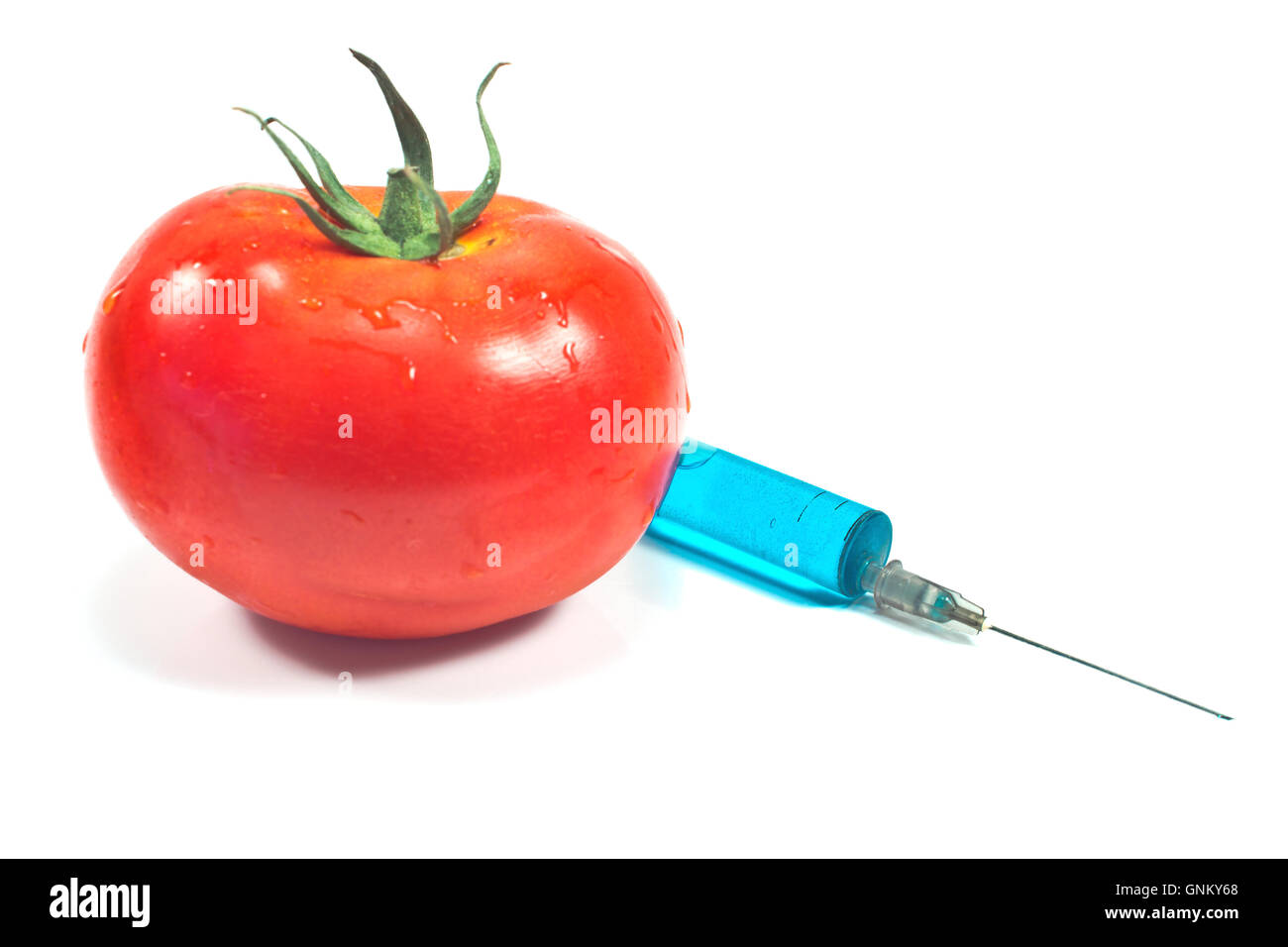 Injection for a genetically modified tomatoes isolated Stock Photo