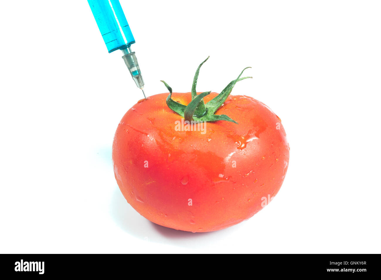 Injection for a genetically modified tomatoes isolated Stock Photo