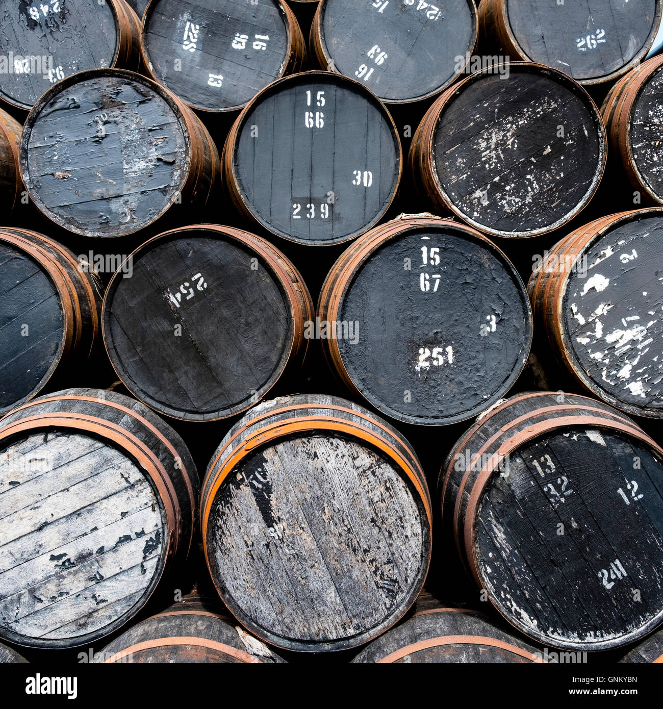 Empty whisky barrels at whisky distillery in Scotland, United Kingdom