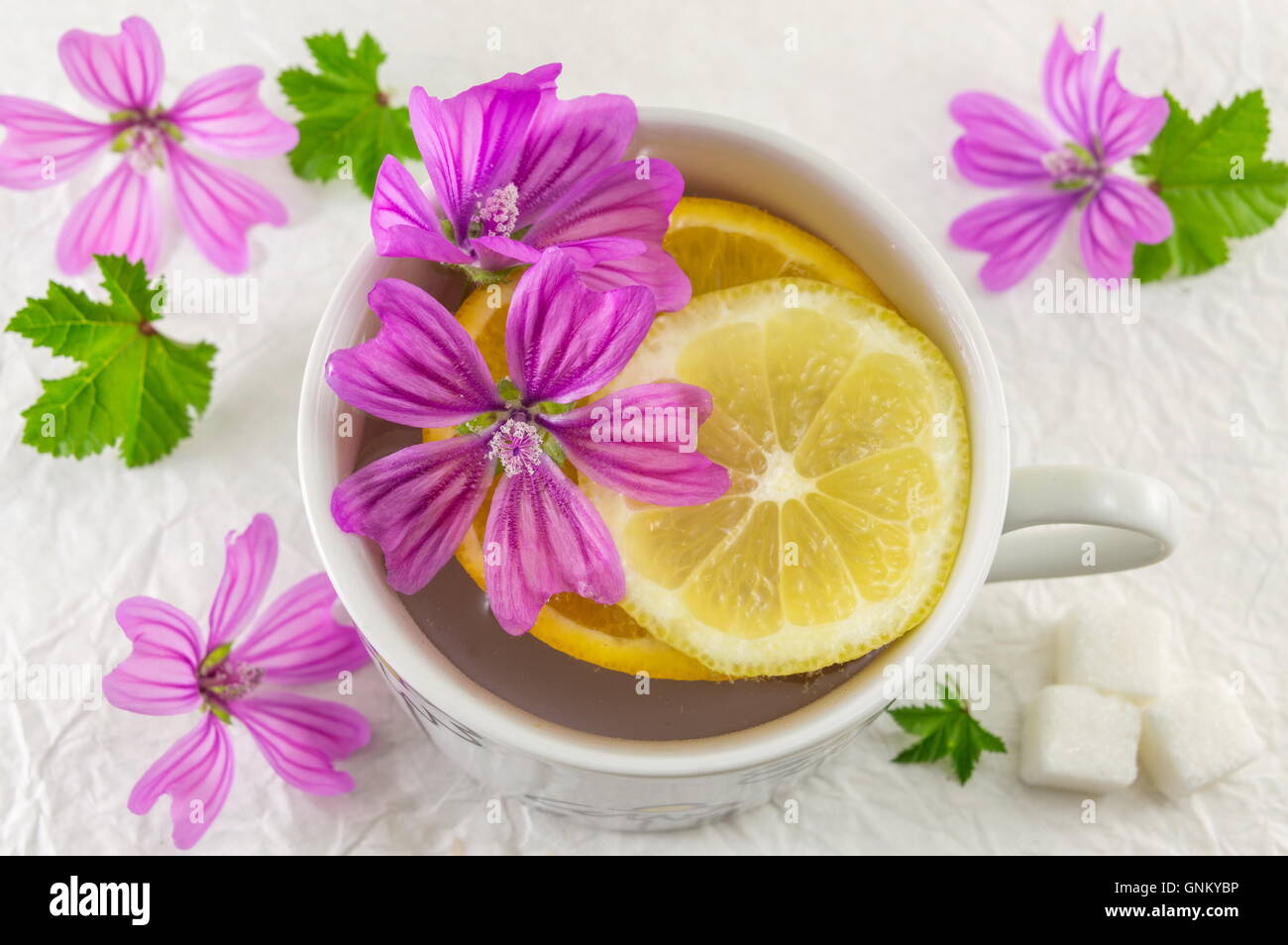 Malva sylvestris, mallow, tea with lemon and fresh flowers Stock Photo