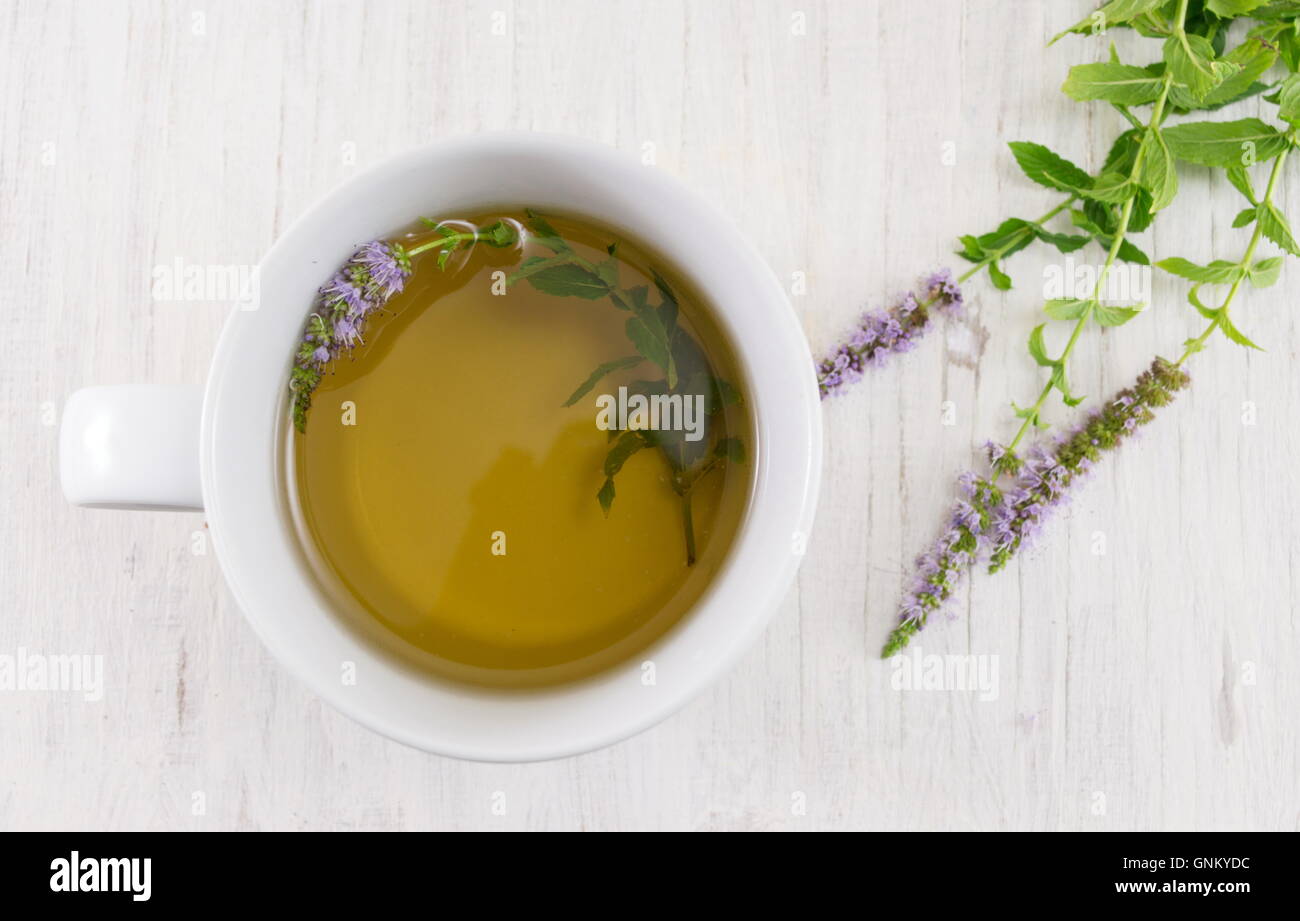 Mint tea with fresh herbs in a teacup Stock Photo