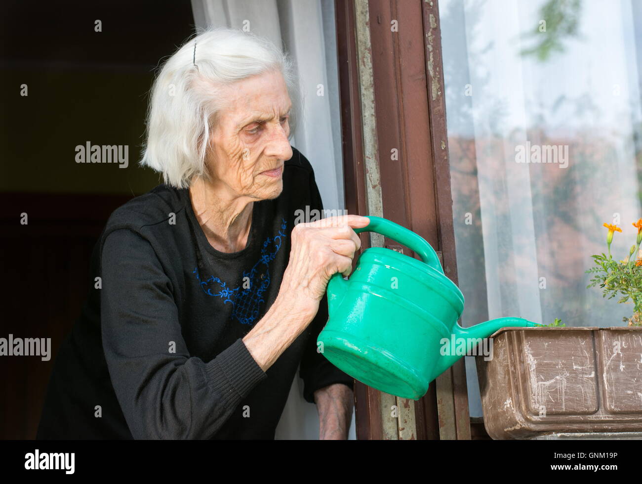 Senior woman watering flower on her house window Stock Photo