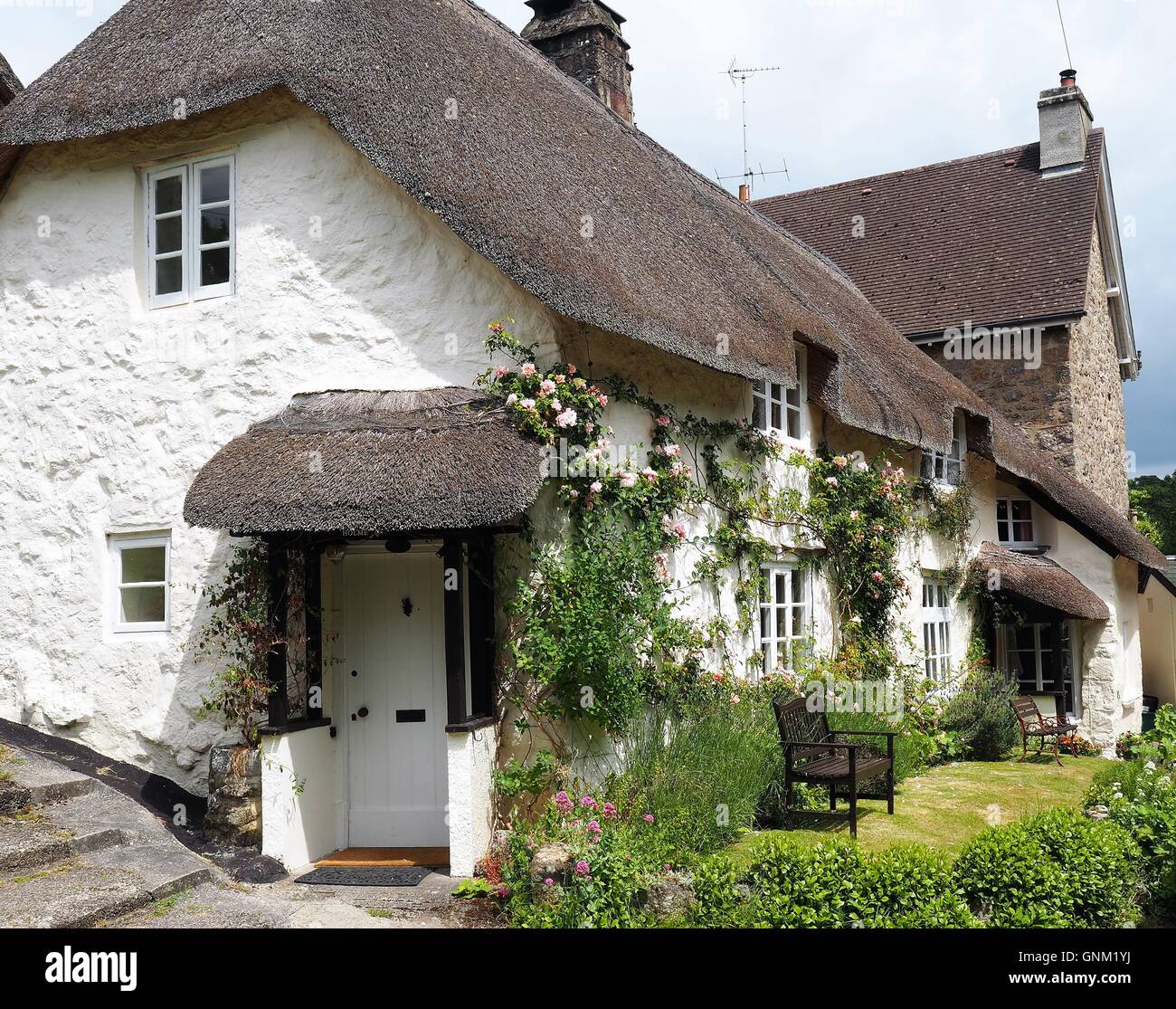Dartmoor cottage in the National Park England Stock Photo Alamy