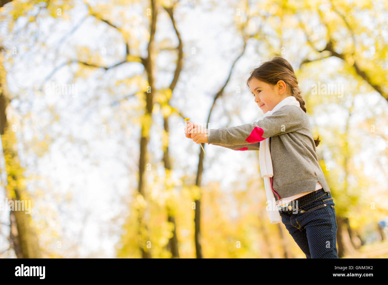 Cute little girl in the park at autumn Stock Photo - Alamy