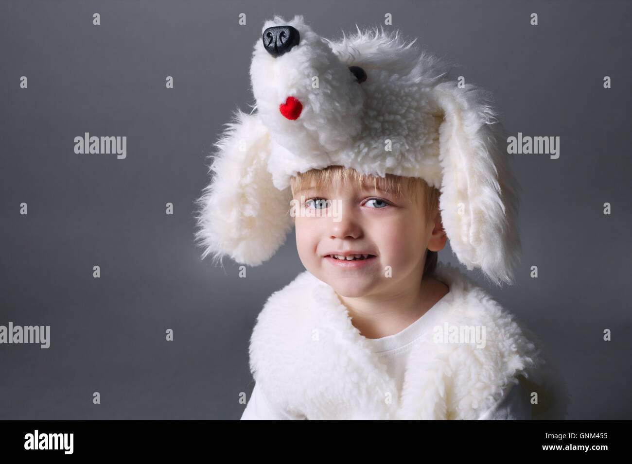 little boy with dog costume Stock Photo Alamy