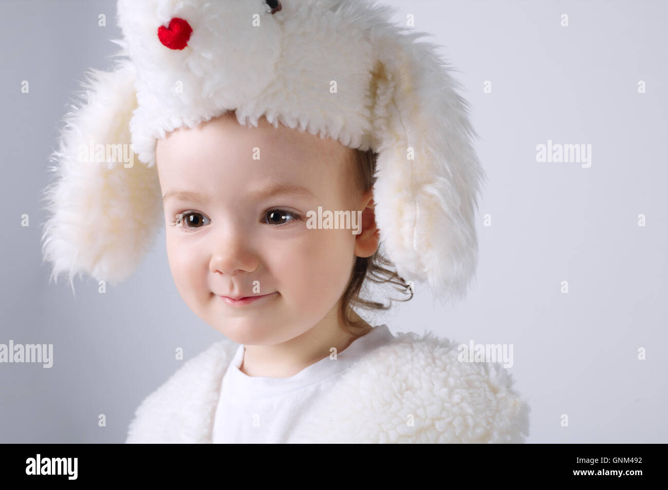 little boy with dog costume Stock Photo Alamy