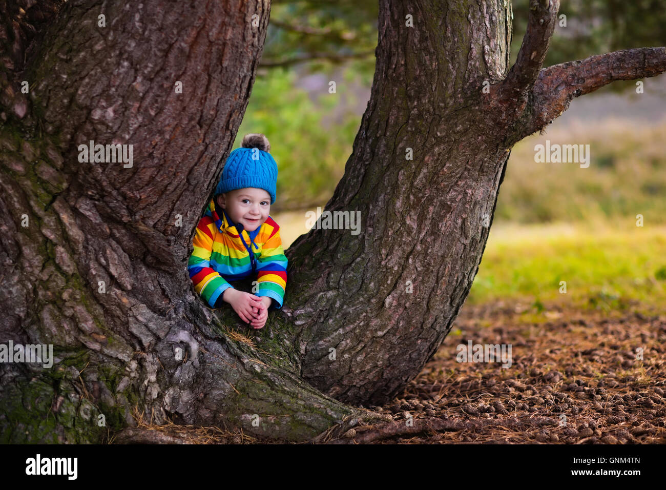 Little boy hiding behind big tree. Happy children playing in beautiful autumn park on cold sunny fall day. Kids in warm jackets Stock Photo