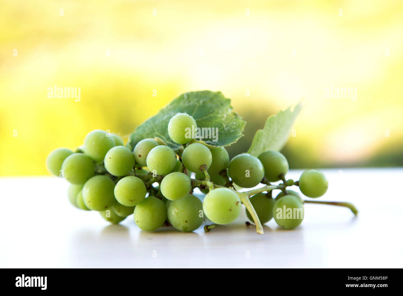 Portuguese white grapes hires stock photography and images Alamy