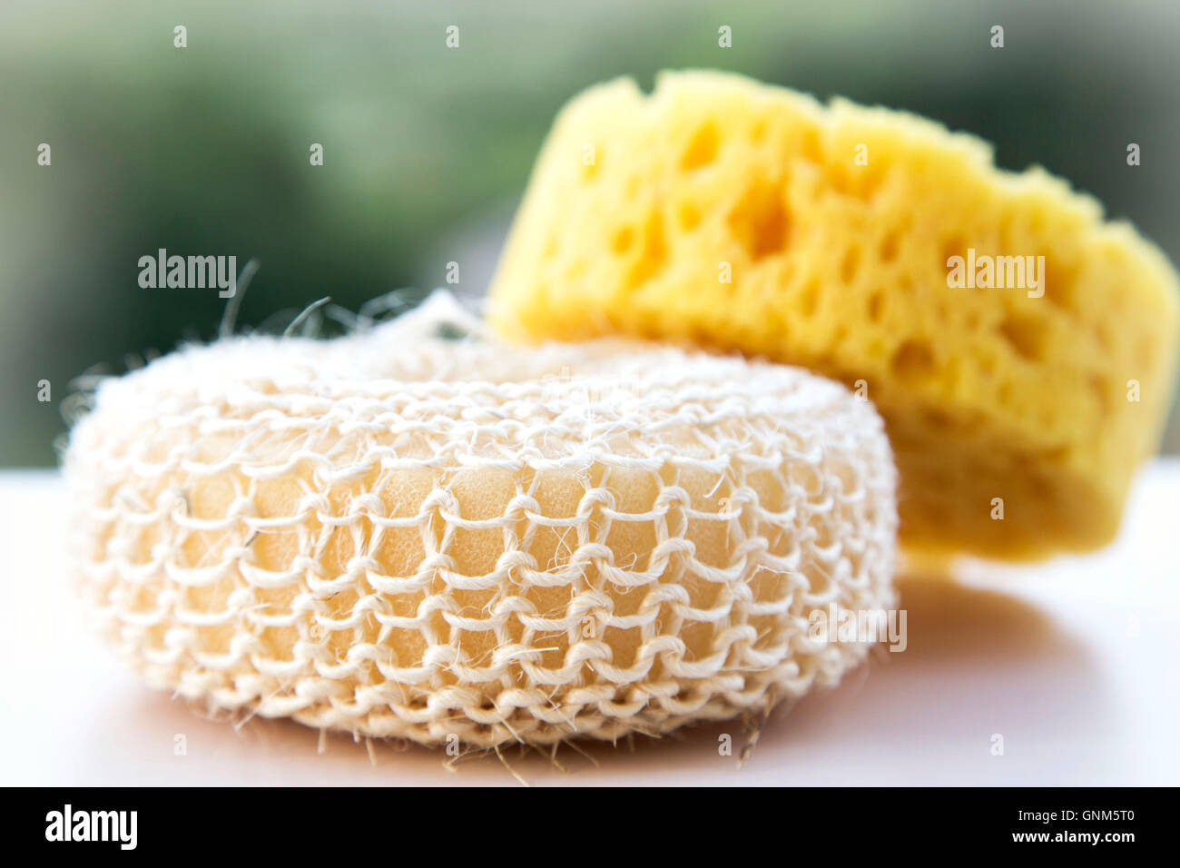 Sponge Spa Synthetic bath sponge spa massage Stock Photo - Alamy