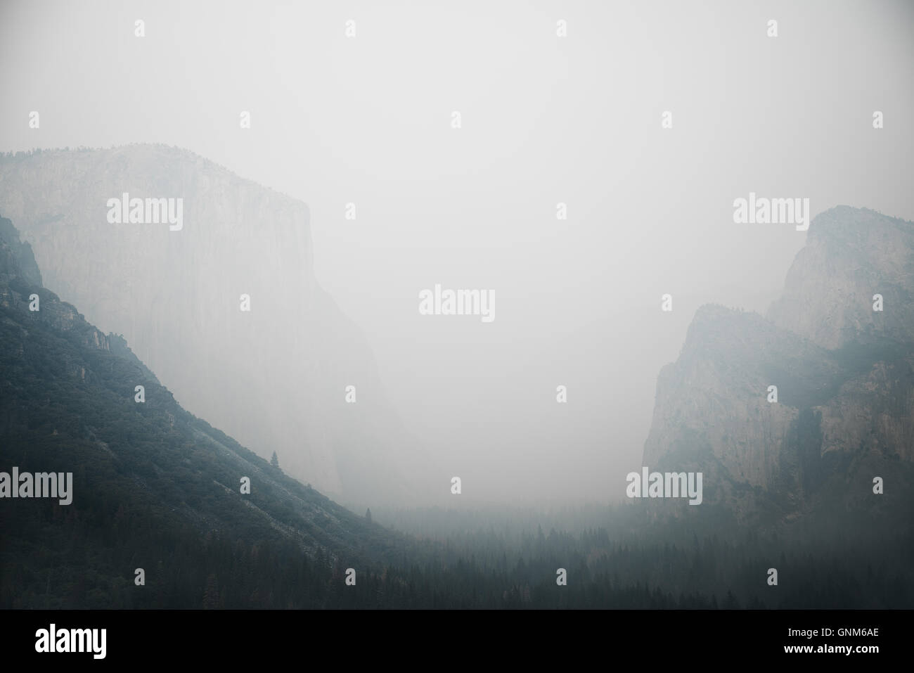 A foggy view in Yosemite National Park Stock Photo