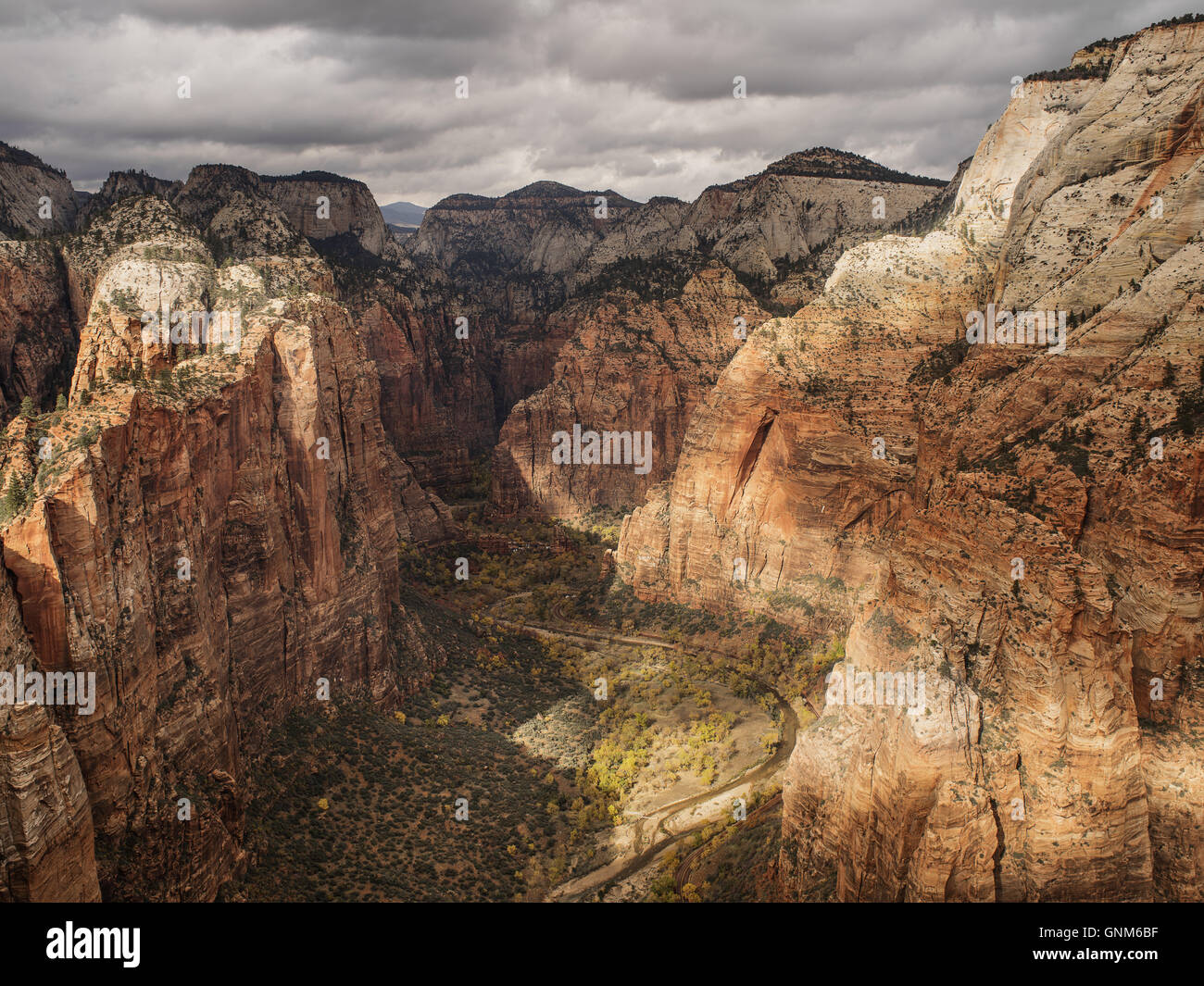 Red mountains in Utah's Zion National Park Stock Photo