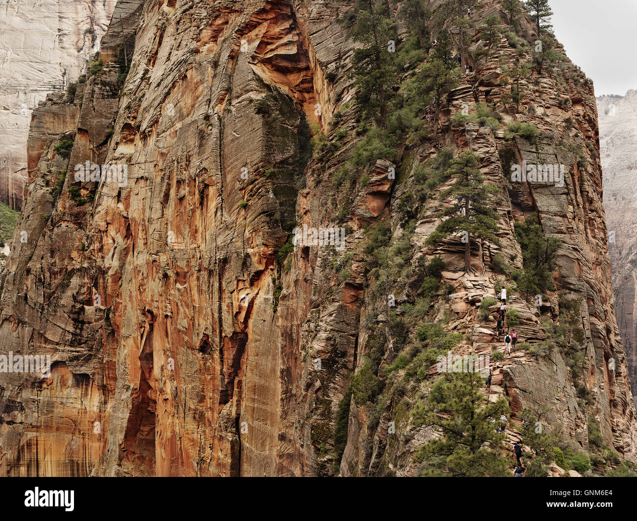 The face of a mountain in Utah's Zion National Park Stock Photo