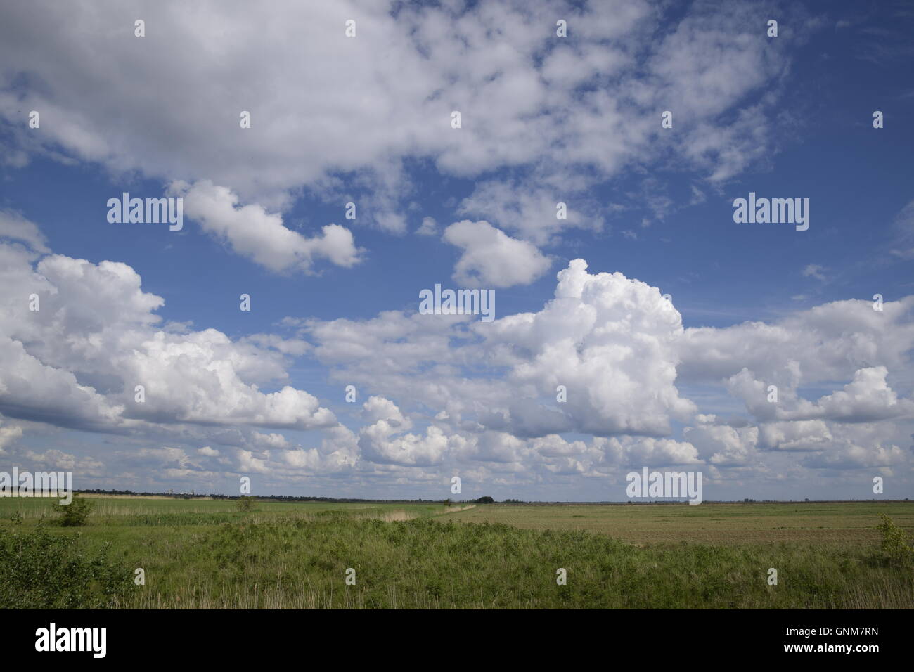 Heavenly landscape with clouds Stock Photo - Alamy