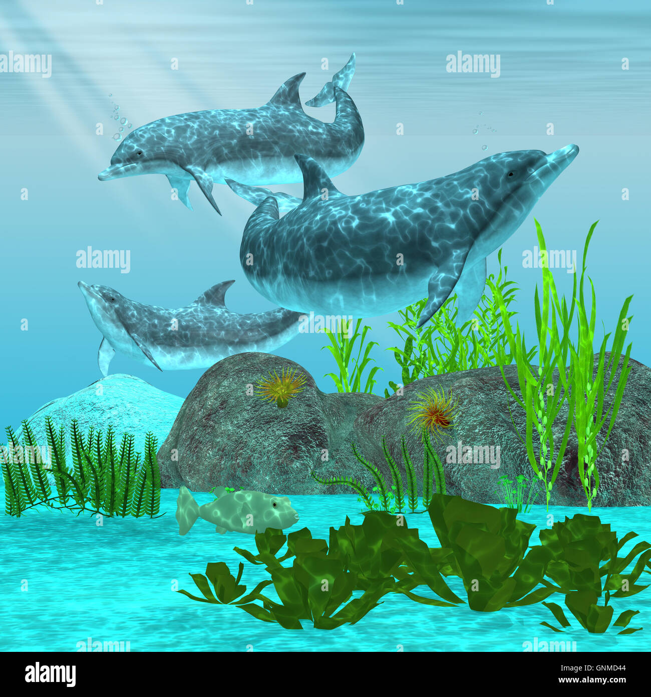 My Image 23