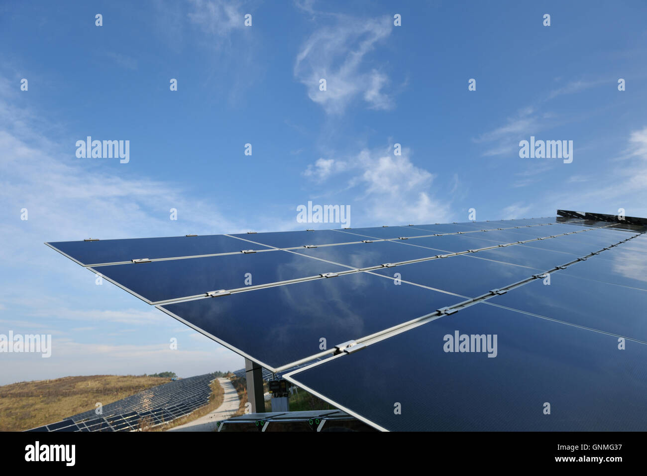solar panel renewable energy field Stock Photo - Alamy