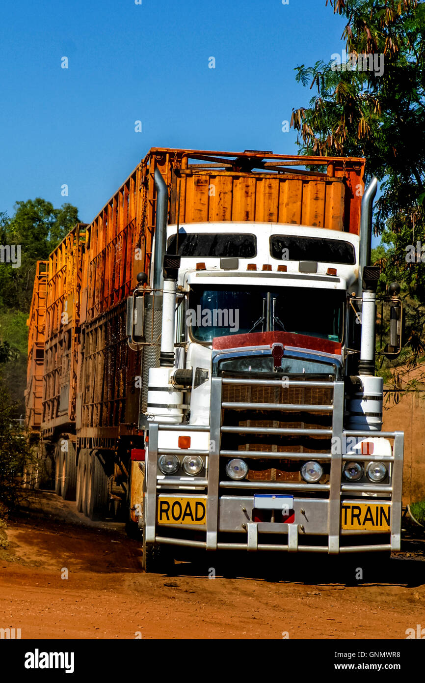 Road train waiting for cattle to be loaded. at Broome in Western Australia Stock Photo