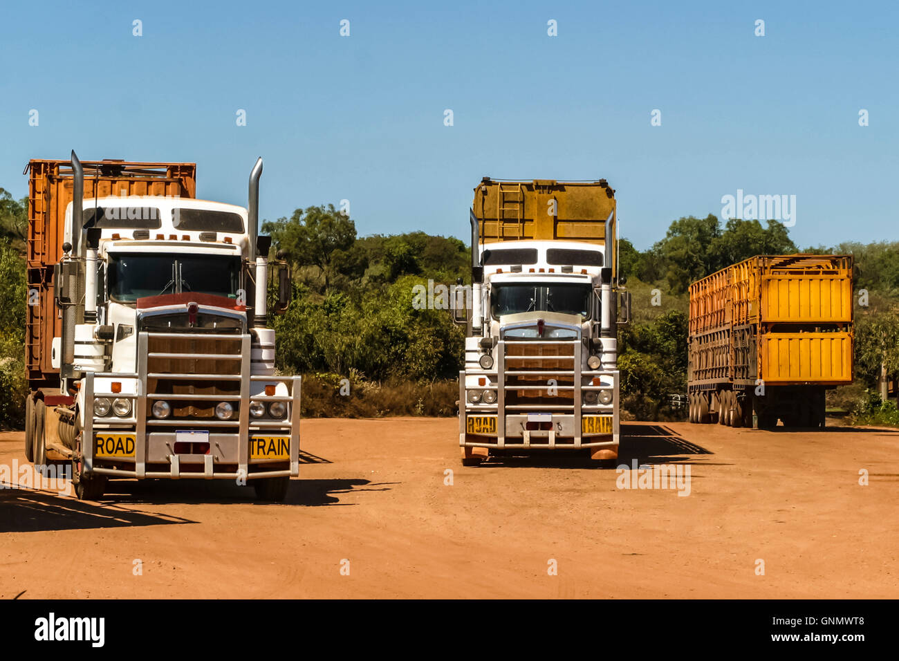 Road trains waiting for cattle to be loaded. at Broome in Western Australia Stock Photo