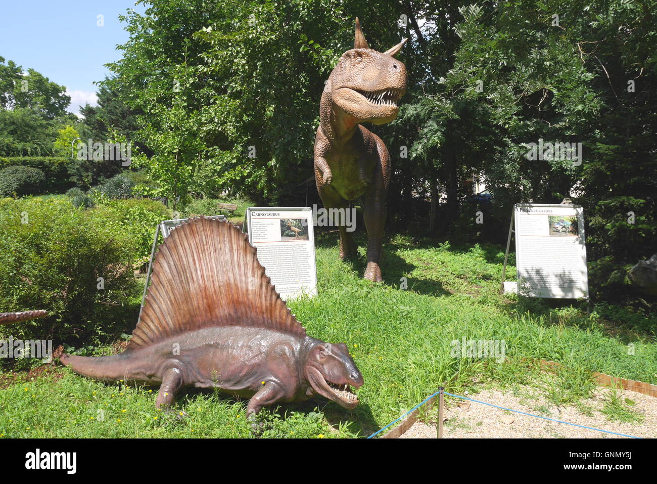Carnotaurus dinosaur hires stock photography and images Alamy