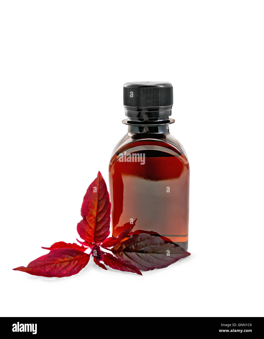 A brown oil bottle with a branch burgundy amaranth isolated on white background Stock Photo