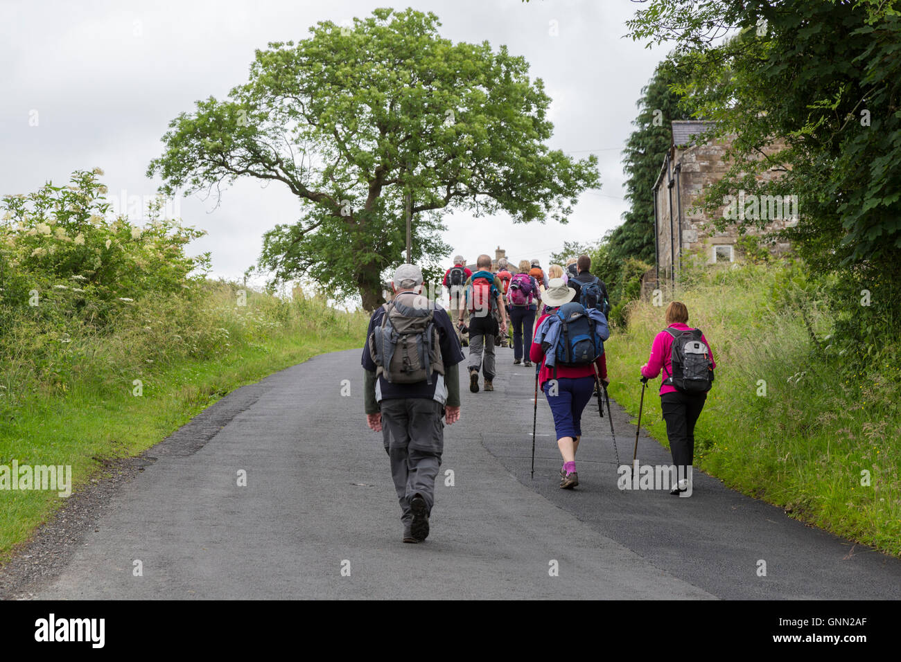 Cumbria, England, UK.  Hikers on Hadrian's Wall Footpath approaching Village of Banks. Stock Photo