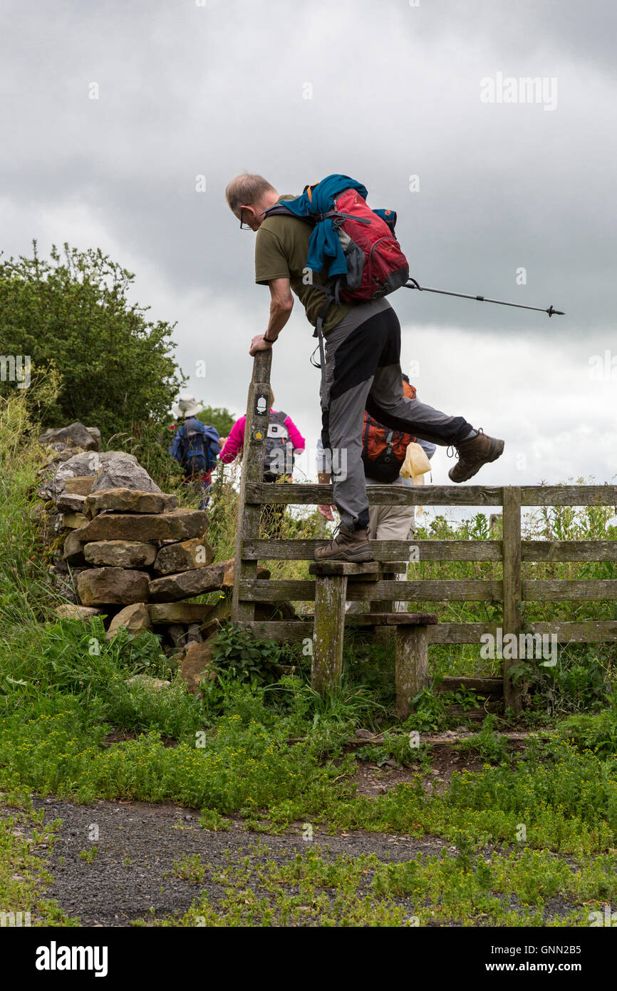 Cumbria, England, UK.  Hiker Traversing a Wooden Stile on the Hadrian's Wall Footpath. Stock Photo