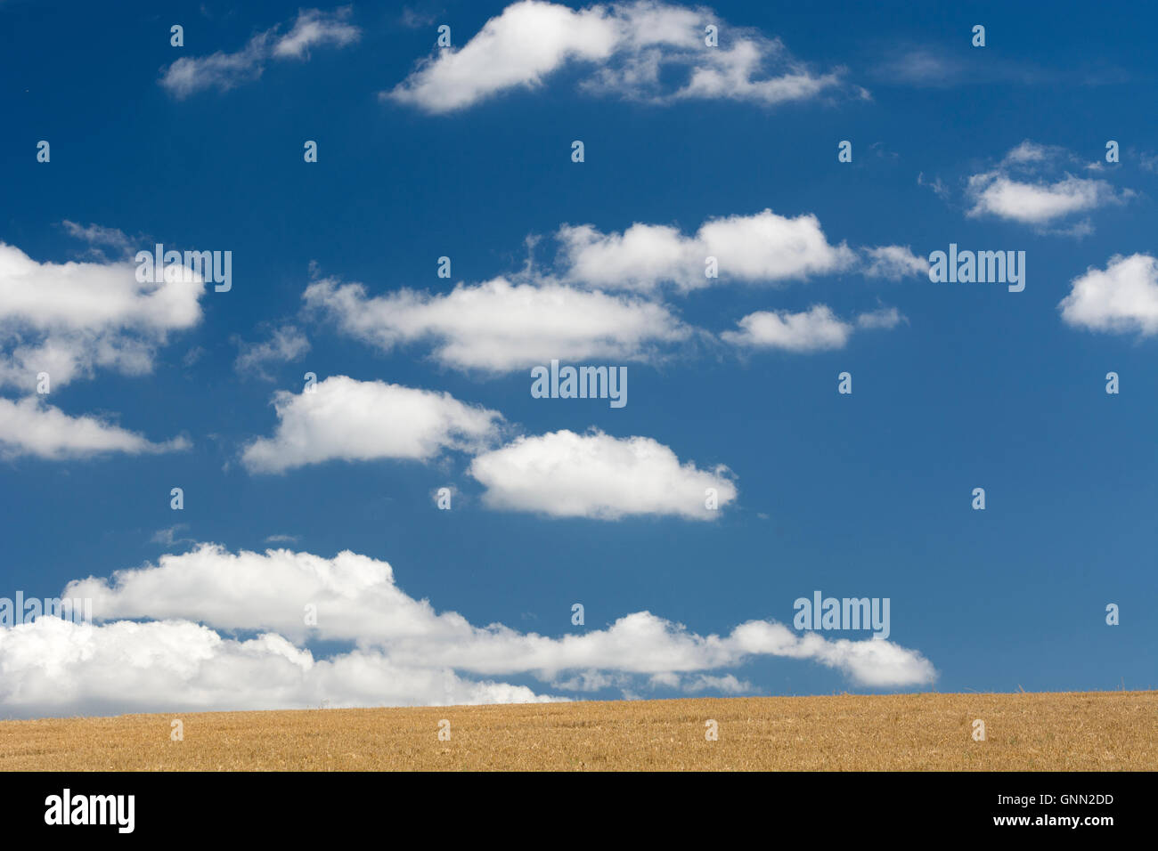 A sky with puffy white clouds, UK Stock Photo - Alamy