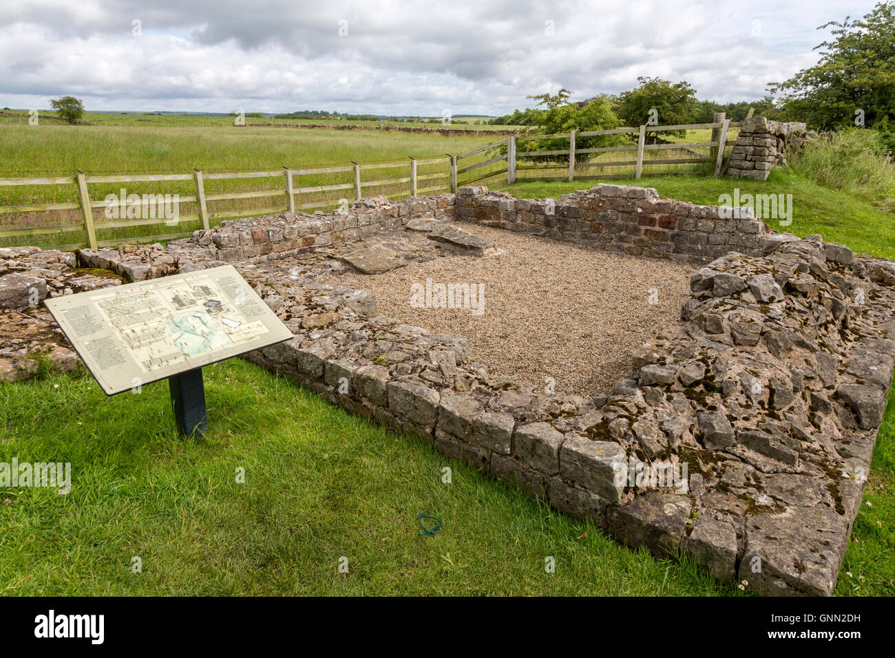Cumbria, England.  Piper Sike Turret 51A on Hadrian's Wall, showing remains of stone platform for a ladder to reach upper level. Stock Photo