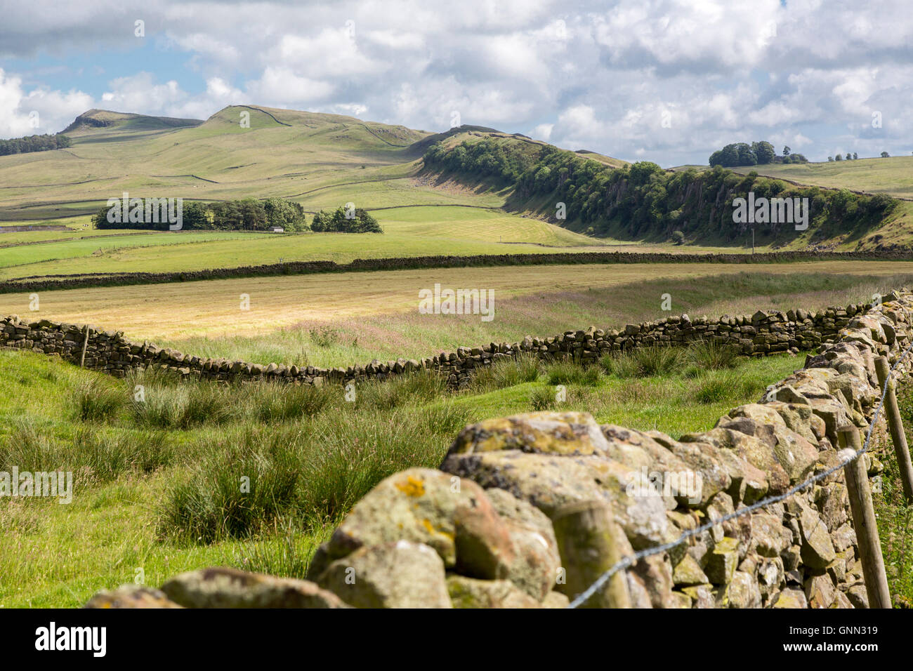 Northumberland, England, UK.  Looking toward Winshield Crags, Hadrian's Wall (Pennine Way) Footpath. Stock Photo