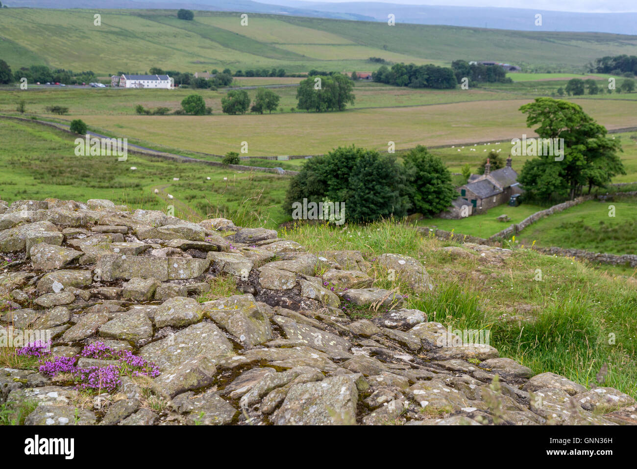 Northumberland,  England, UK.  Once Brewed from Hadrian's Wall (Pennine Way)  Footpath. Stock Photo