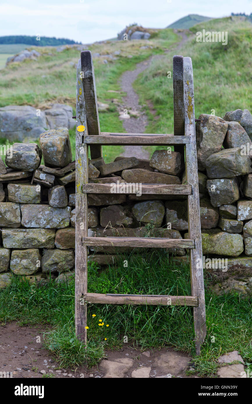 Northumberland,  England, UK.  A Ladder Stile over a Farmer's Stone Wall on Hadrian's Wall (Pennine Way) Footpath. Stock Photo