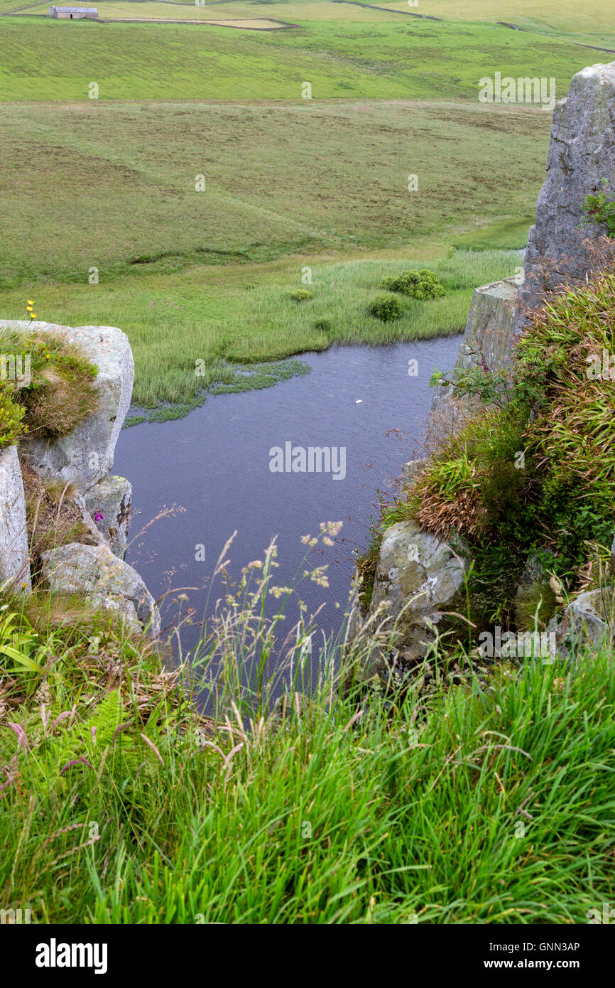 Northumberland,  England, UK.  Swan on Crag Lough, from Peel Crags, Hadrian's wall (Pennine Way) Footpath. Stock Photo
