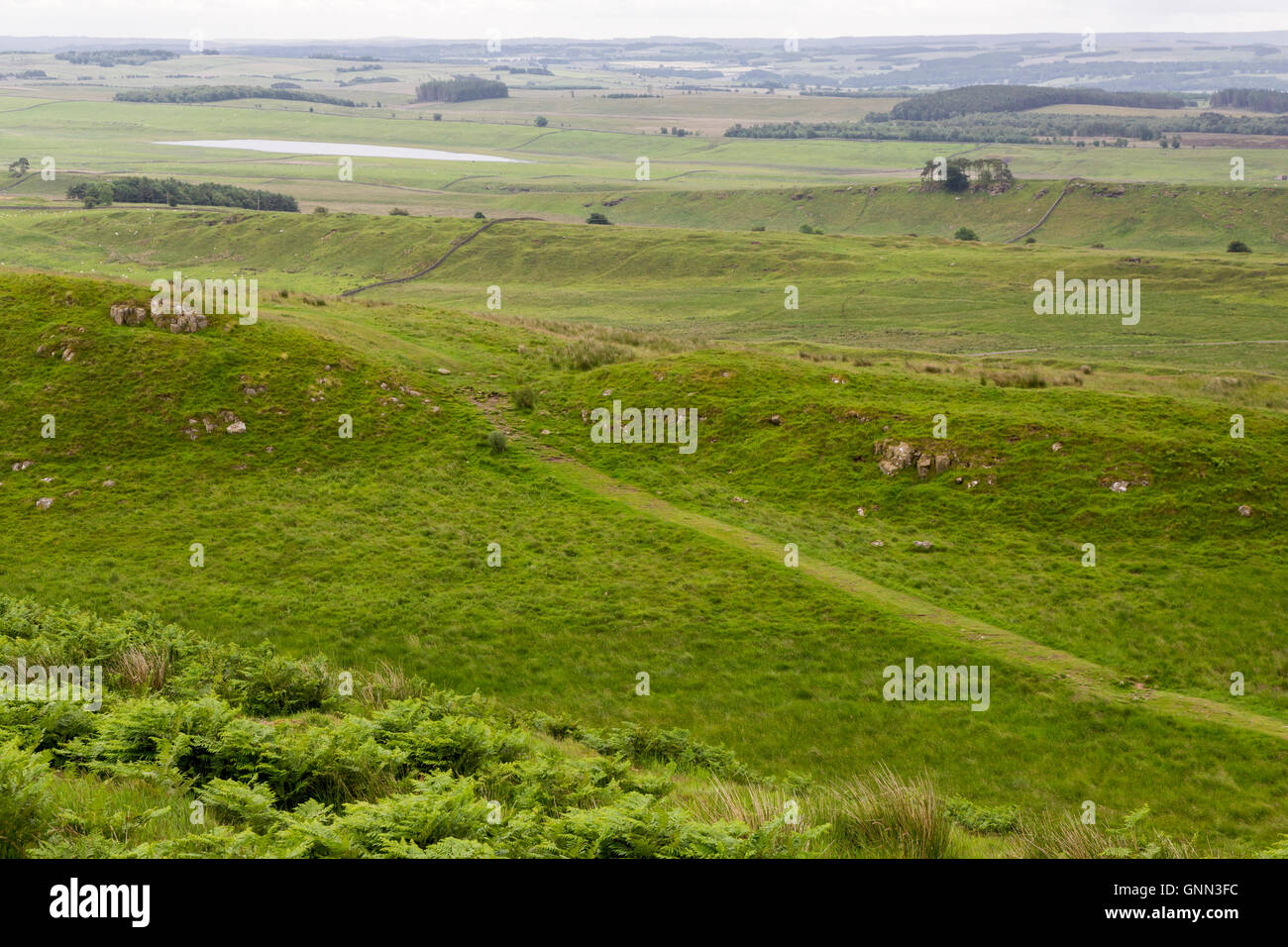 Northumberland,  England, UK.  Military Way Footpath leading to Housesteads Visitor Center, far left, out of picture. Stock Photo