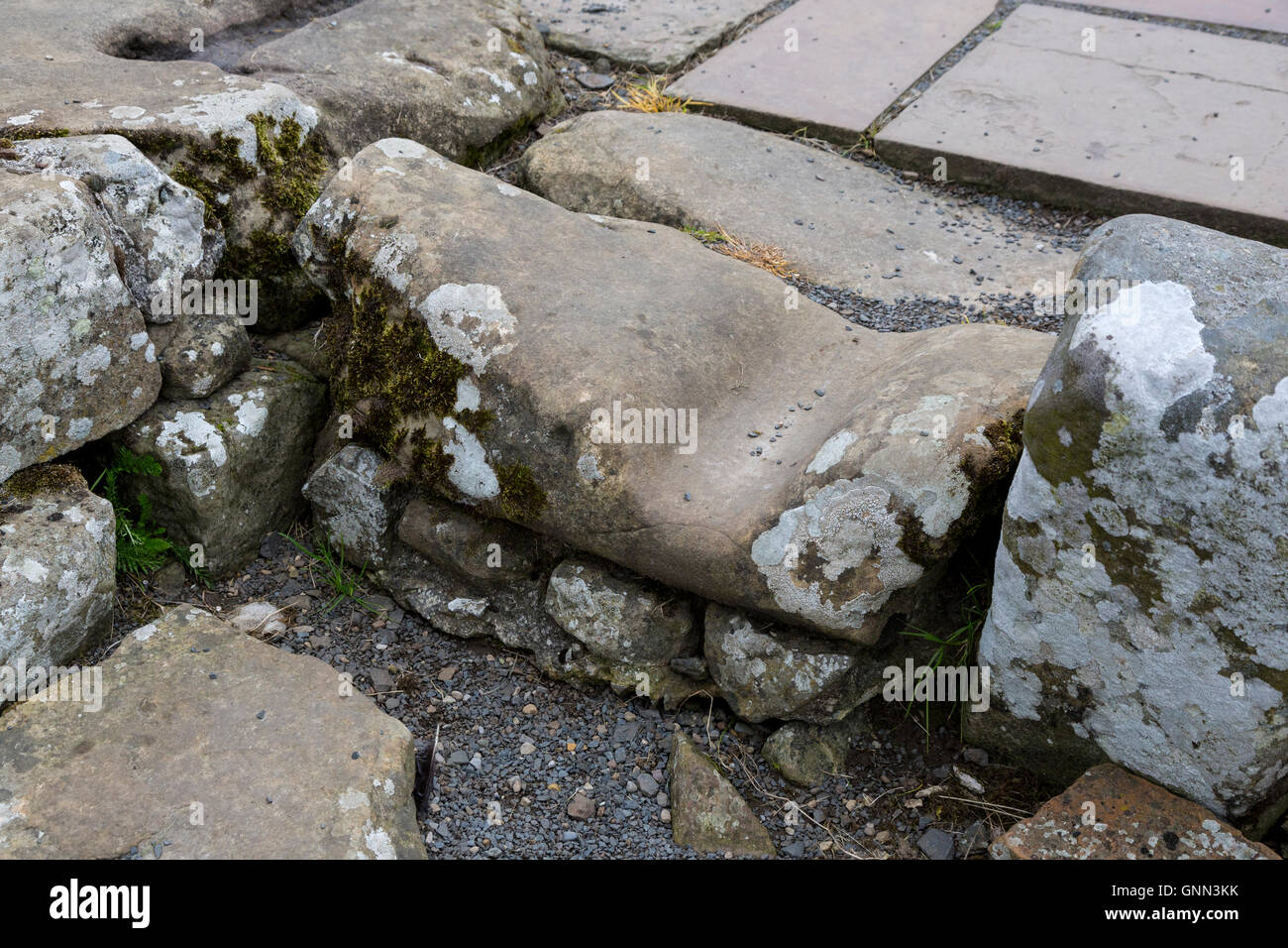 Northumberland,  England, UK.  Wagon and Chariot Wheel Ruts in Stone at South Gate Entrance to Housesteads Roman Fort. Stock Photo