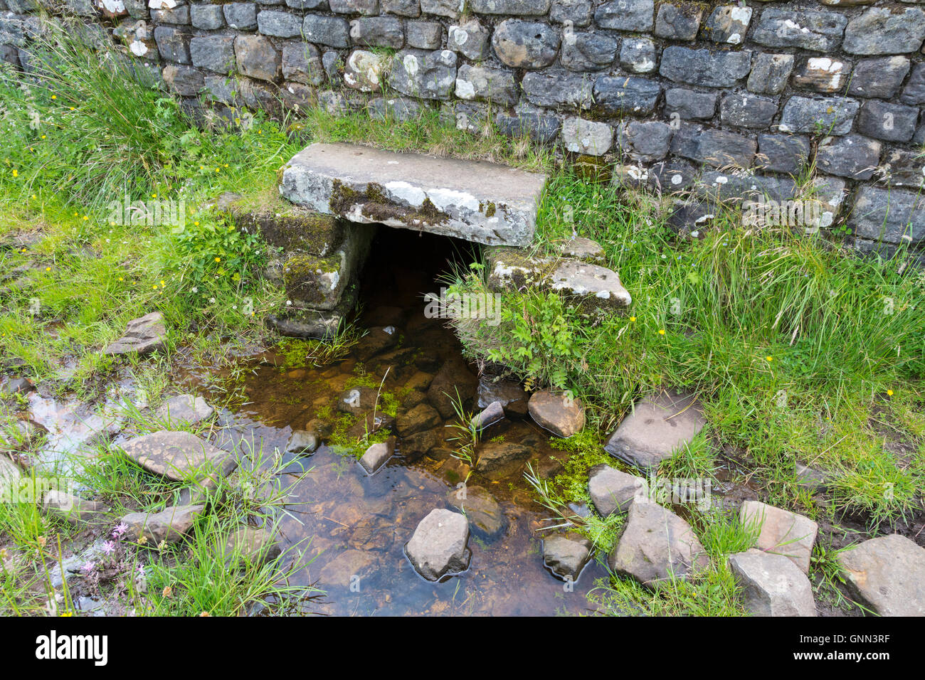 Northumberland, England, UK.  Drain allows Water to Pass under Hadrian's Wall at Knag Burn, Housesteads Roman Fort (Vercovicium) Stock Photo