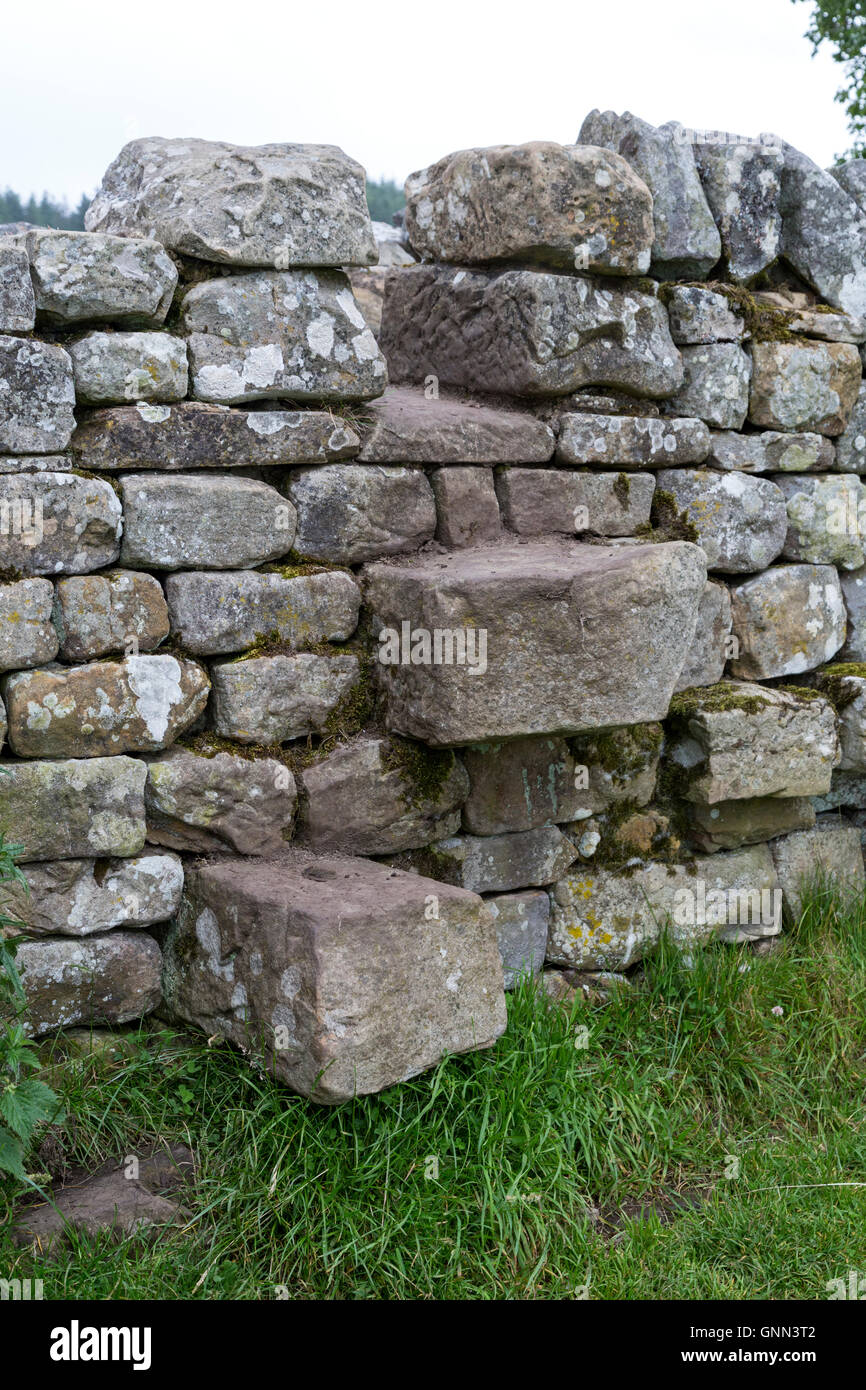 Northumberland, England, UK.  A Step Stile Crossing over a Wall on the Hadrian's Wall Footpath. Stock Photo